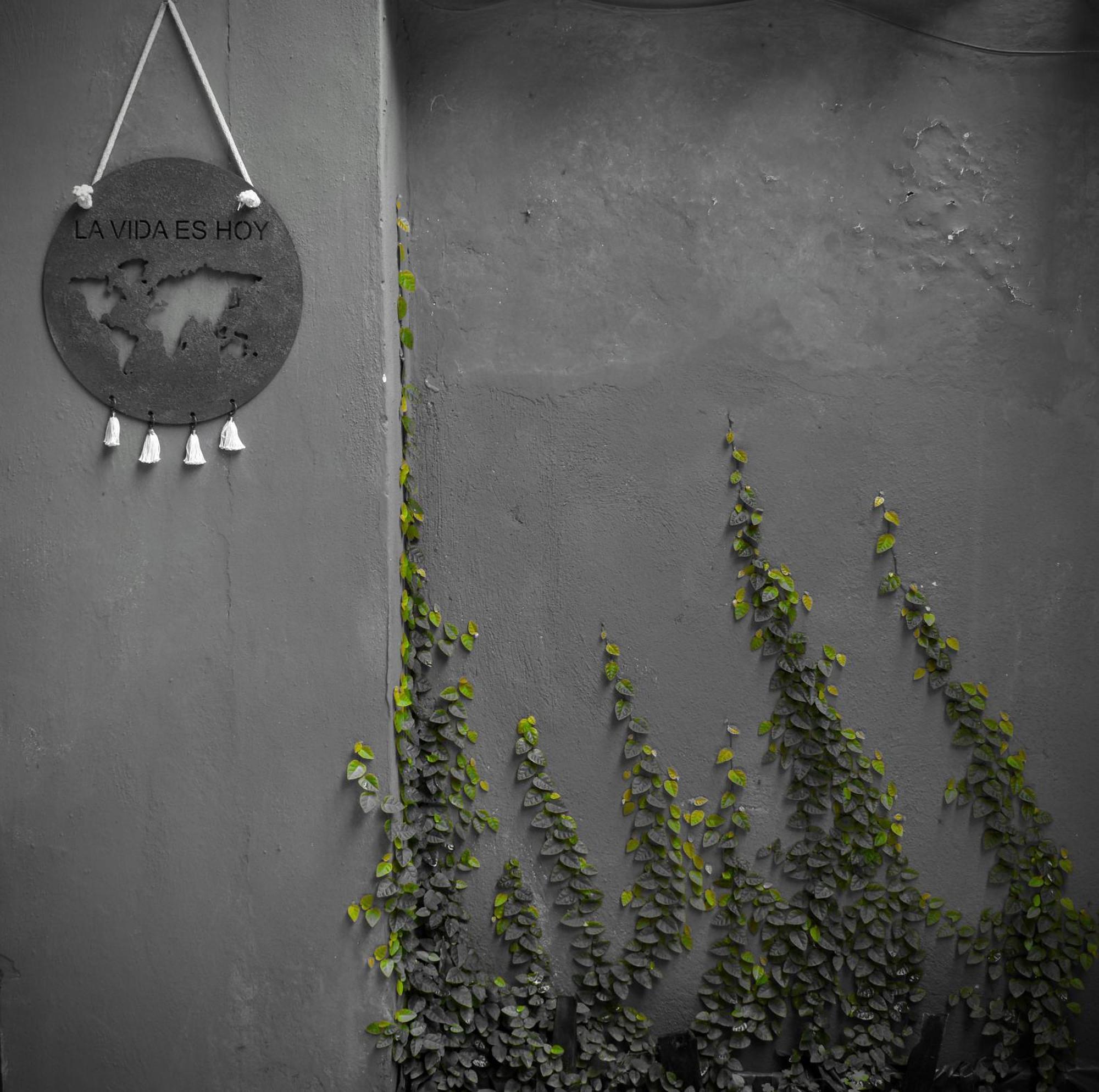 Leo'S Clan Beach Hostel Araquari Eksteriør bilde
